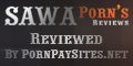 Porn sites review